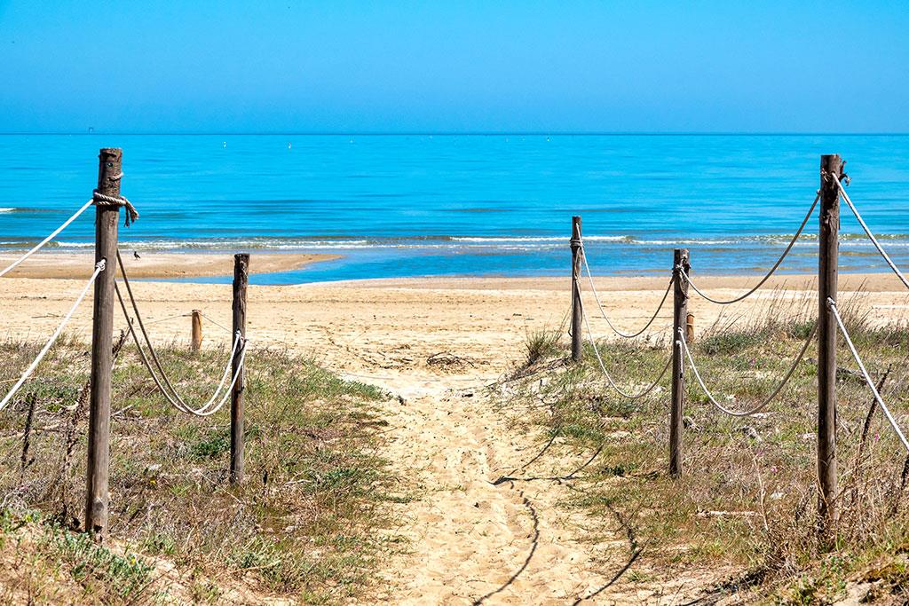 Spiaggia di Pineto vista dall'alto — acqua cristallina